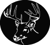 deer08.gif (35563 bytes)