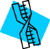 dna.gif (6565 bytes)